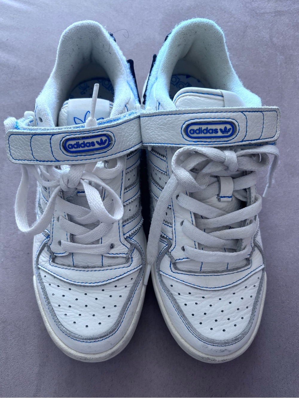 adidas  White & Blue Low-Top Sneakers